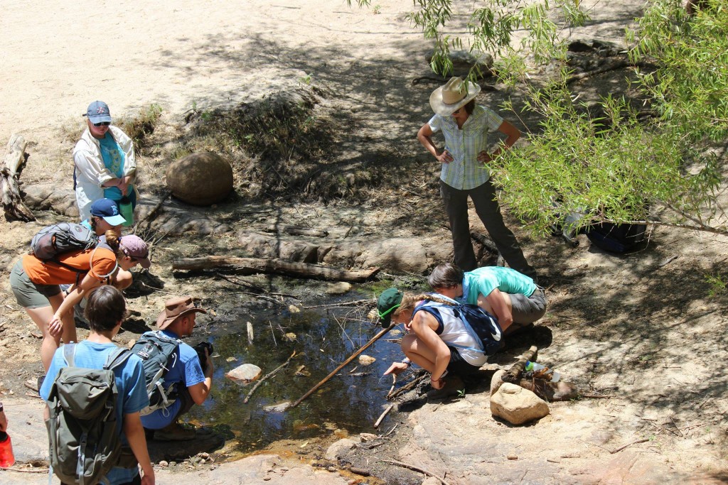 Water hole