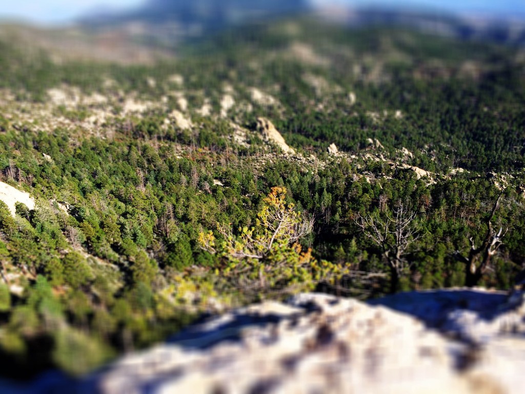 Eden took this picture of Wilderness of Rocks from Lemmon Rock fire lookout.