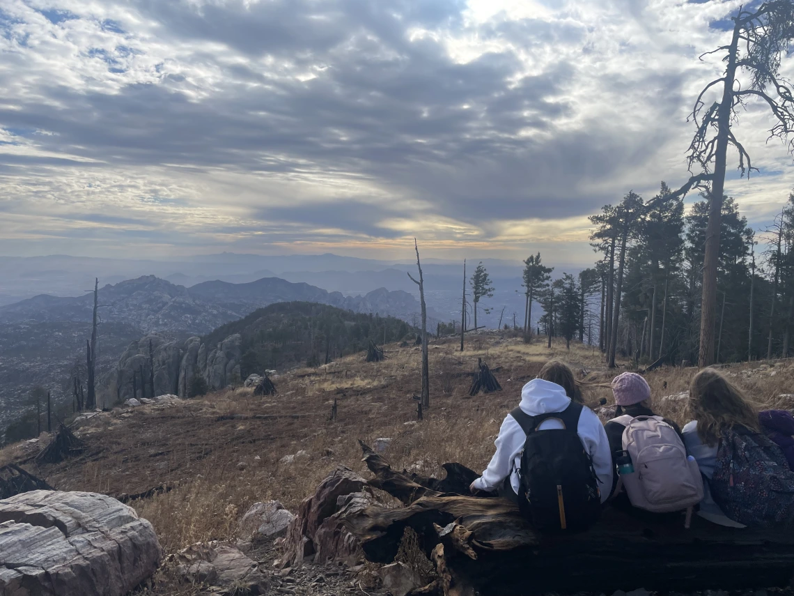 Summit viewpoints